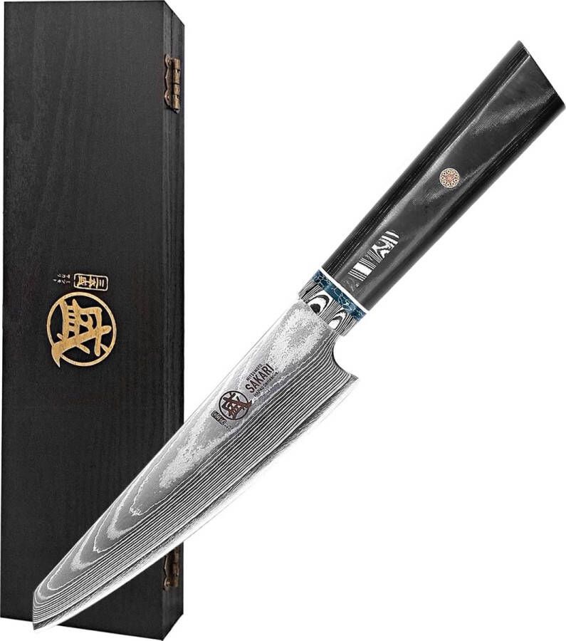 12 cm Japans Mes Handgesmede Professionele Keukenmessen Damascus HAP40 Poedervormig Stalen Paring Mes (Micarta Handvat en Geschenkverpakking)