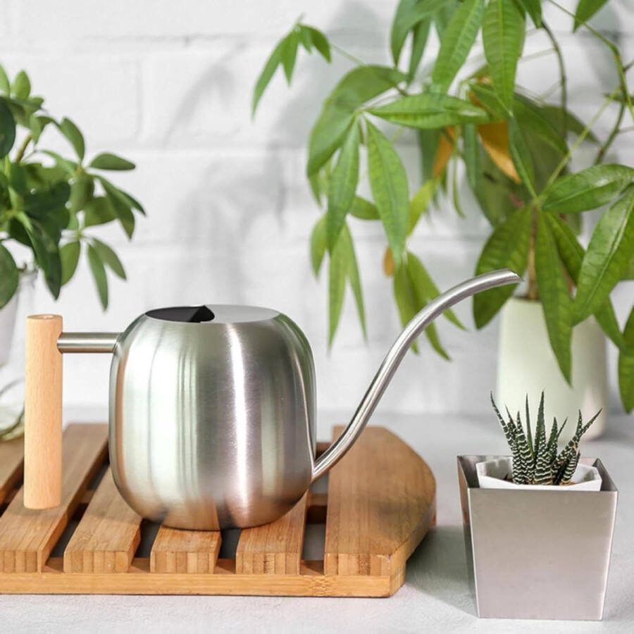 12 liter roestvrijstalen gieter voor binnen comfortabel houten handvat lange dunne schenktuit kamerplanten en vetplanten zilver