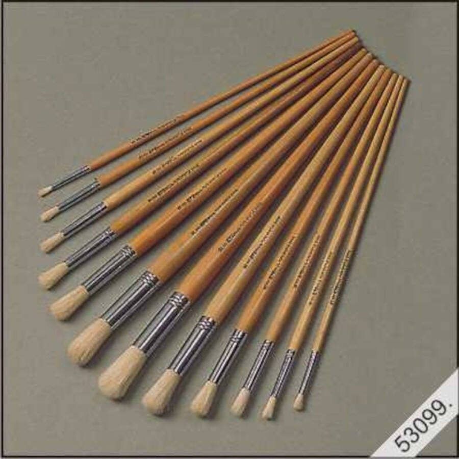 12 Lyonse verf Penselen acryl