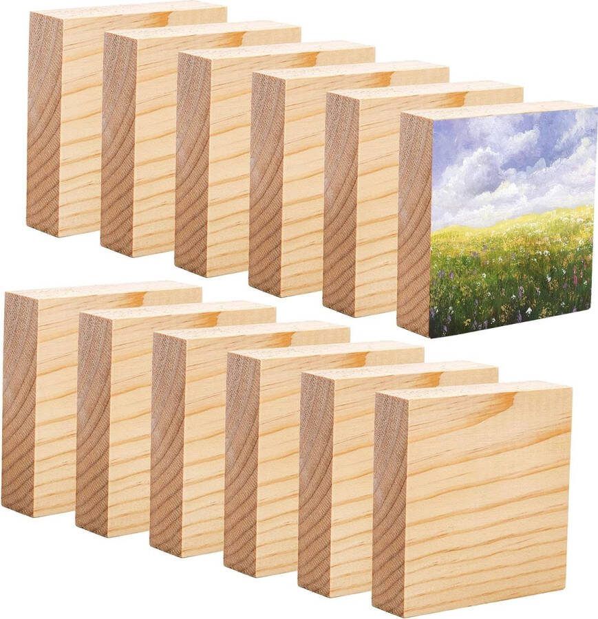 12 stuks onafgewerkte houten blokken voor kunst en handwerk 4 x 4 x 1 MDF houten paneel houten vierkante blokken ambachtelijke panelen ideaal voor kunst en handwerk schilderen doe-het-zelf-projecten