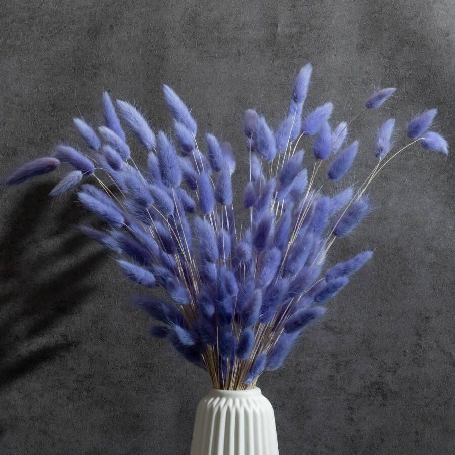 120 x gedroogde pampasgras decoratie droogbloemen boeket natuurlijke bloemendecoratie grassen voor bruiloft binnendecoratie slaapkamer woonkamer lichtblauw