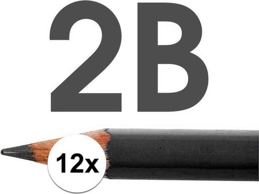 Merkloos 12x 2B potloden voor professioneel gebruik Tekenpotloden