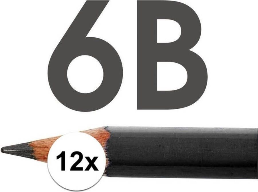 Merkloos 12x 6B potloden voor professioneel gebruik Tekenpotloden