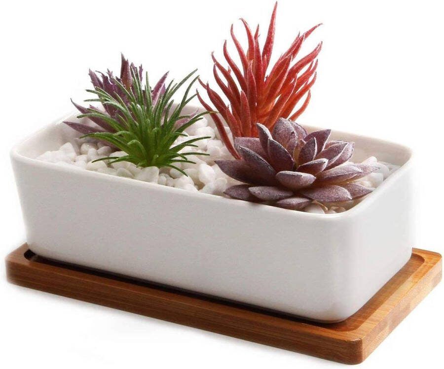 16 5CM Succulente Plantenpot Set Rechthoek Keramiek Vetplant Bloempot met Bamboe Onderzetter Binnen Klein Cactus Pot met Afvoergat Wit voor Sappige Aloë Kruid Decoratieve Geschenk