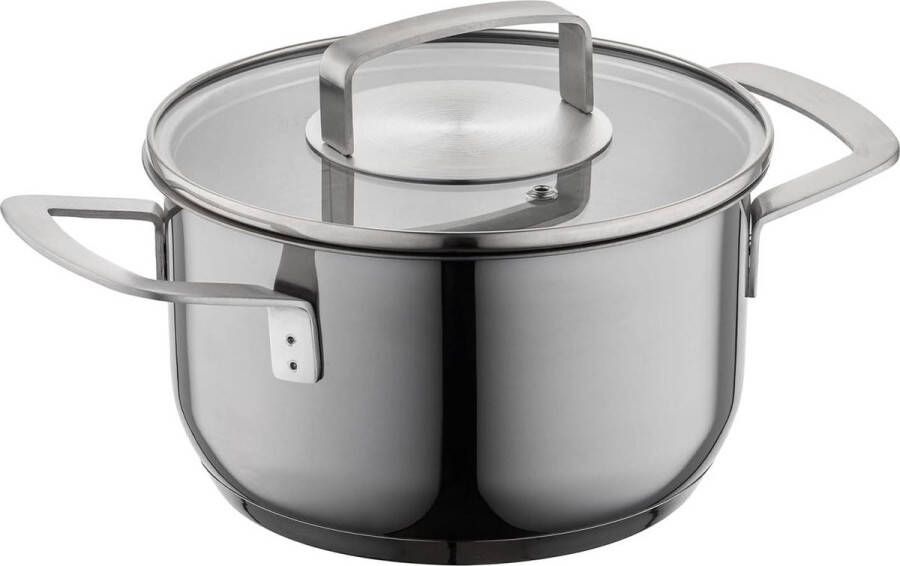 16l Roestvrijstalen Kookpan 16cm Diameter Met Glazen Deksel Maatverdeling 3-laagse Bodem Gelijkmatige Warmteverdeling Geschikt voor Alle Kookplaten