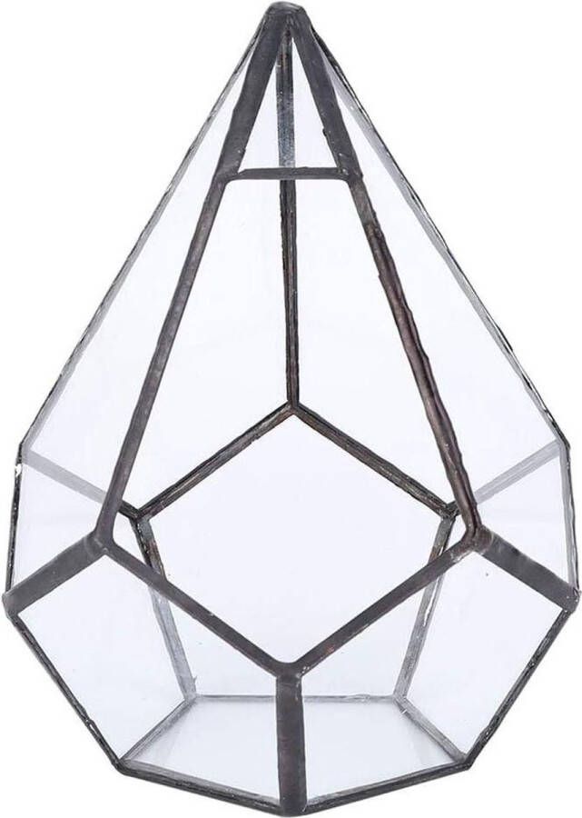 1Pcs Zes Oppervlak Diamant Glas Vetplanten Container Stijlvolle Terrarium Geometrische Vorm Verticale Moderne Planter met Diy Display Box planter box