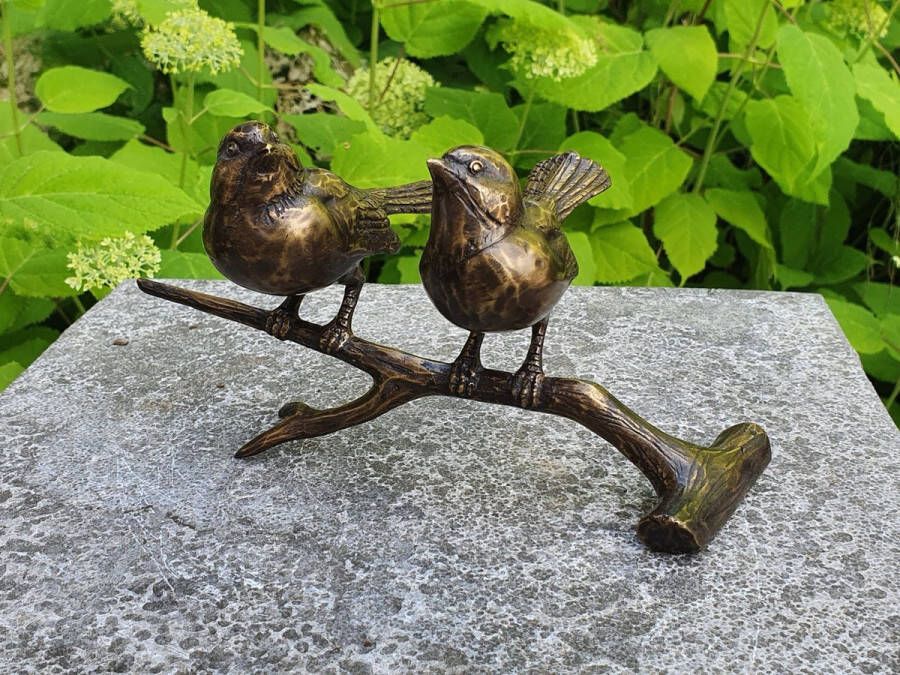 2 BRONZEN VOGELS OP TAK TUINBEELD MUSSEN BRONS