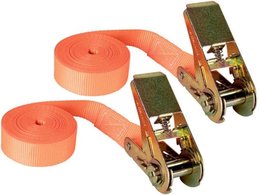 2 stuks 25 mm x 5 m spanbanden met ratel 500 daN voor ladingsspanning Spanbanden met ratel