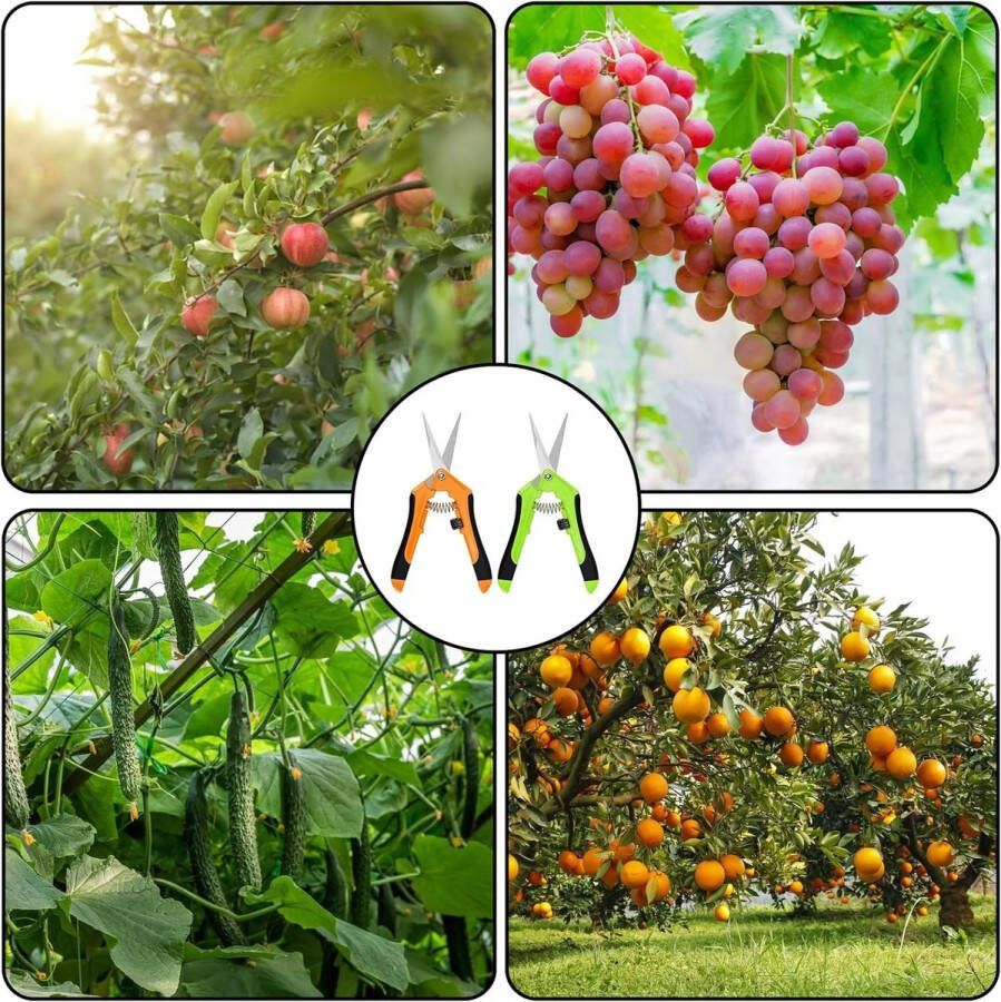 2 stuks kleine snoeischaar bonsai rozenschaar snoeischaar van roestvrij staal antislipschaar voor bonsaiplanten bloemen fruit takken rozen (groen en oranje)