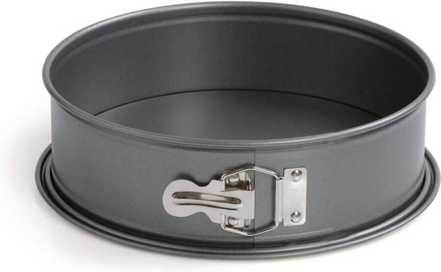 24 cm Springvorm Rond Met Platte Bodem Lekvrij Anti-Aanbaklaag Hittebestendig Gourmet Springvorm