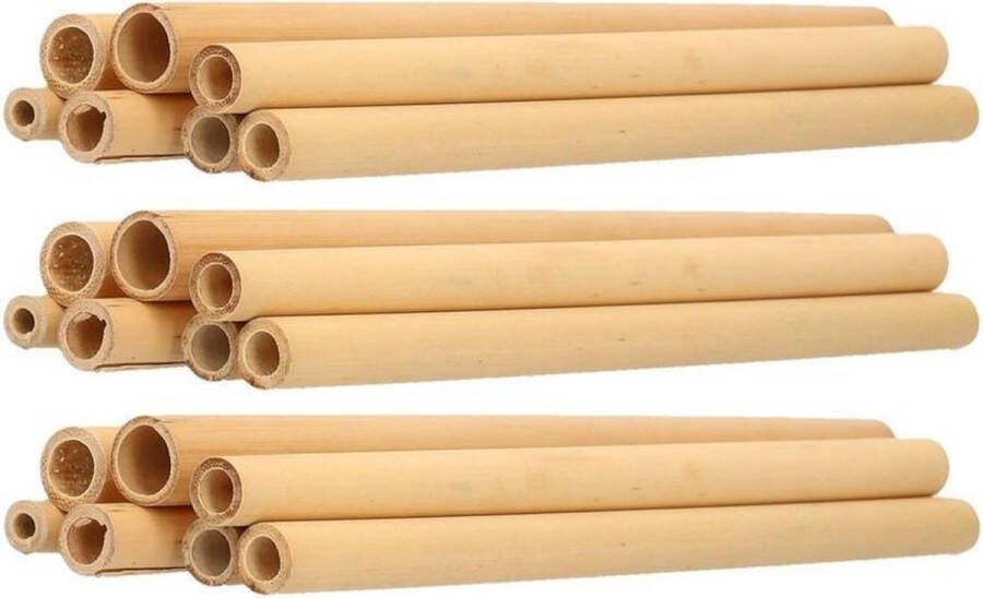 24x Duurzame bamboe houten rietjes 20 cm Milieuvriendelijk en biologisch drinkrietjes