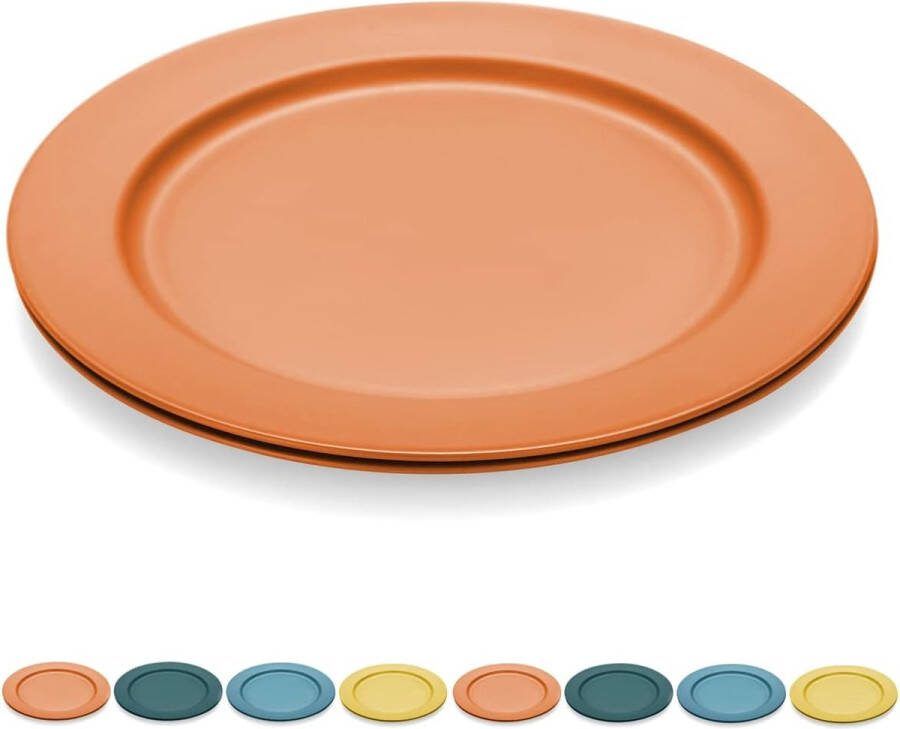 25 cm bordenset van 8 afbreekbare gezonde onbreekbare plastic borden taartborden voor kinderen en volwassenen lichte pastaborden BPA-vrije dinerborden magnetrons