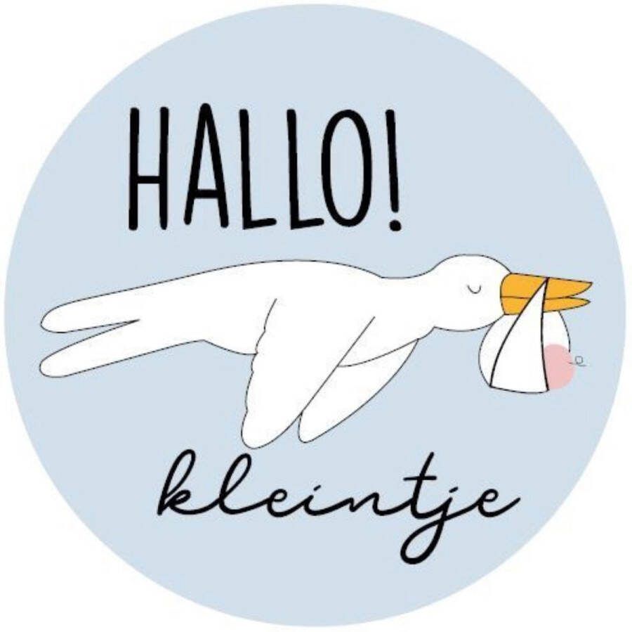 25 x Ooievaar Stickers Geboortekaartje Hallo Kleintje Jongen Meisje Baby Cadeaustickers Sluitstickers