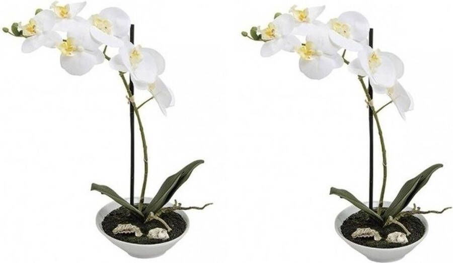 Merkloos Sans marque 2x Kunstplanten in pot witte orchidee 38 cm Vlinderorchidee Phalaenopsis wit Nepplanten