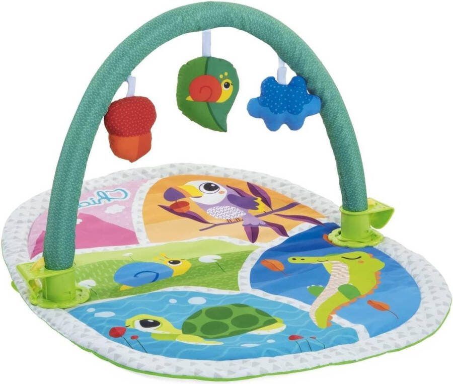 3-in-1 Babygym Zacht Gewatteerd Speelkleed Afneembare Speelboog 2 Hangers en 1 Rammelaar inclusief Bedpaneel 0+ Maanden Kleurrijk 80 x 60 cm