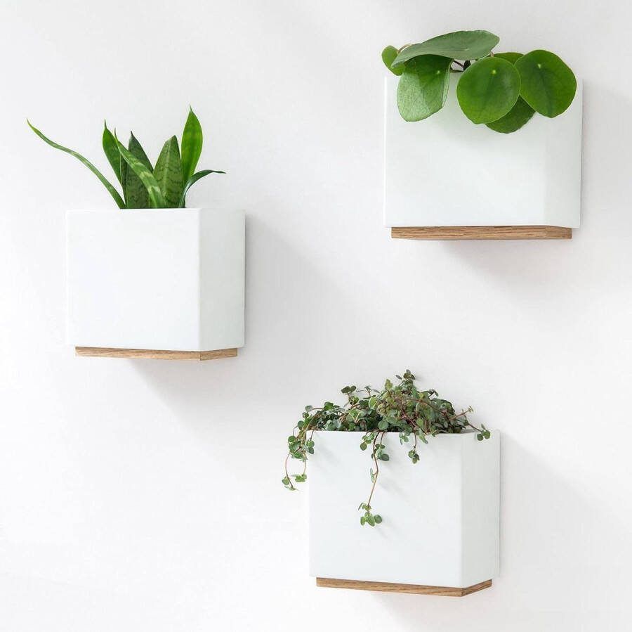 3 Moderne Hangende Plantenpotten Gemaakt van Hars Set Plantenhouders voor Kamerplanten Wit
