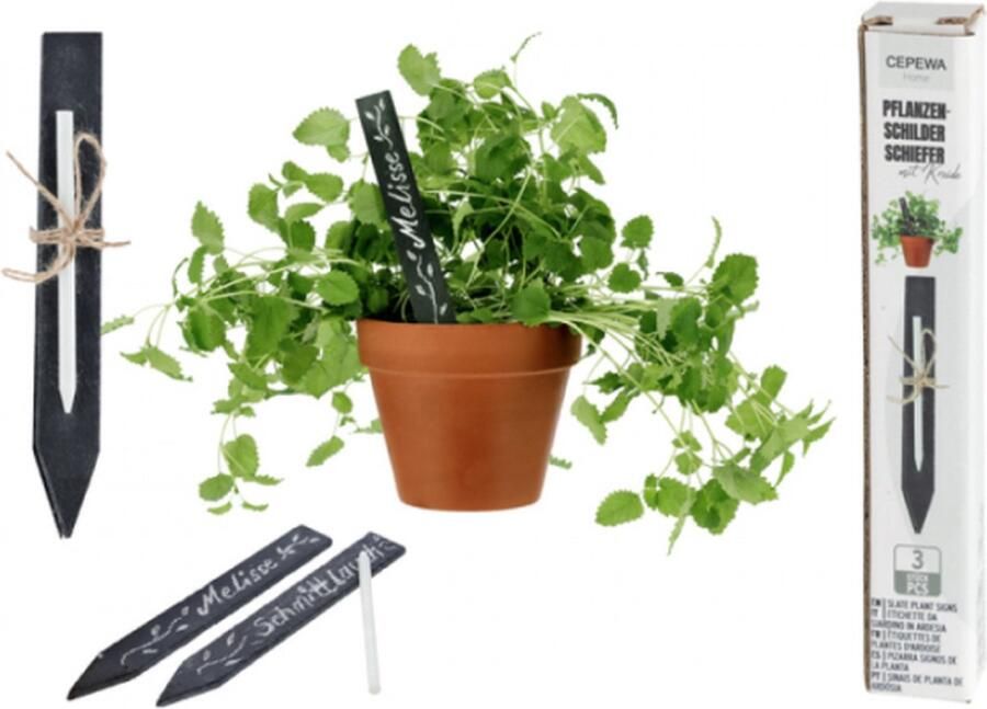3 Plantenlabels in Leisteen Met krijt 15 x 2 x 0 5cm Herbruikbaar Planten en zaden Plantenlabel Plantenstekers Plantenbordjes