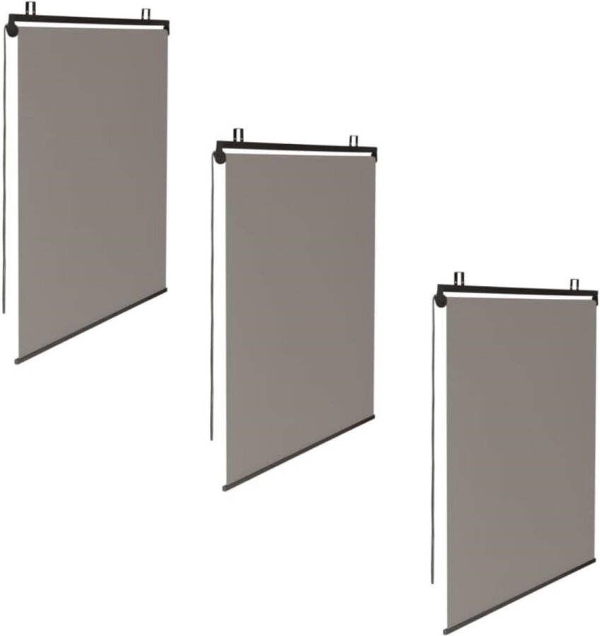 3 stuks rolgordijnen 124 x 225 cm voor pergola taupe