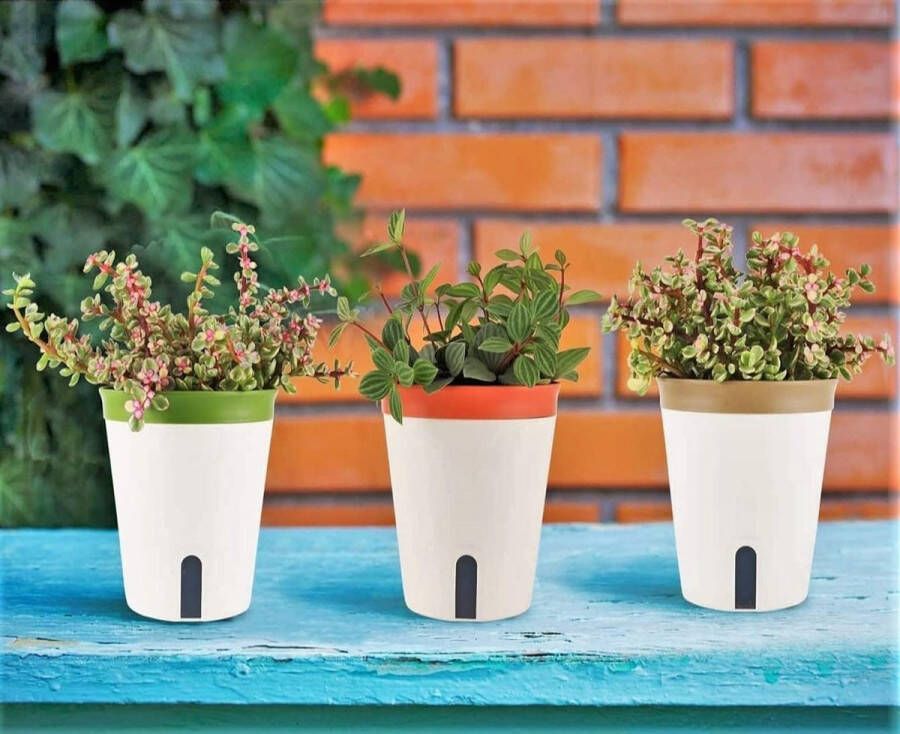 3 stuks zelfbewaterende bloempotten 12 5 cm ronde bloempot van kunststof bonsai-potten voor tuinbloemen voor aloë kruiden vetplanten met waterniveauvenster en afvoergat verborgen dienblad