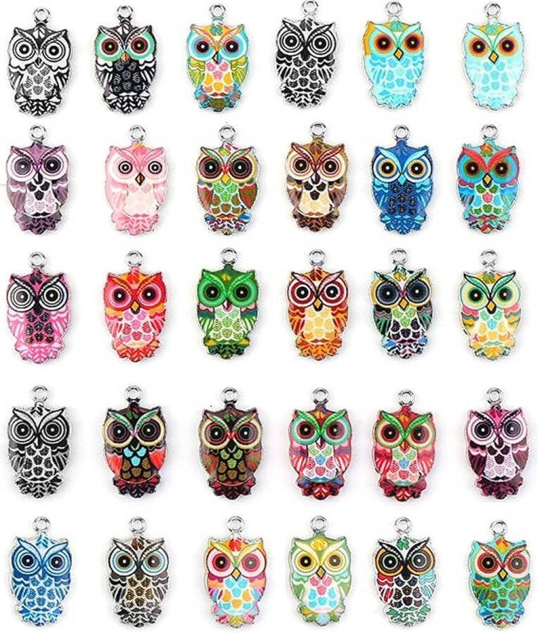 30 stuks uil emaille bedels kleurrijke uil bedels voor sieraden maken metalen uil bedels hangers schattige dier emaille bedels voor doe-het-zelf ketting oorbel armband kerst ambachtelijke