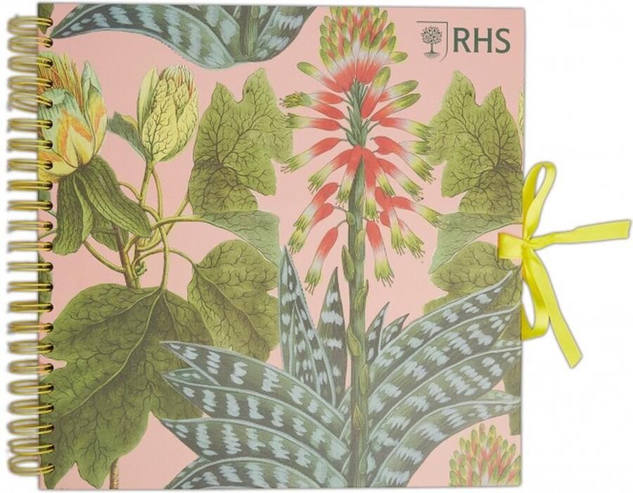 30 x 30cm scrapbook Plakboek Succulents