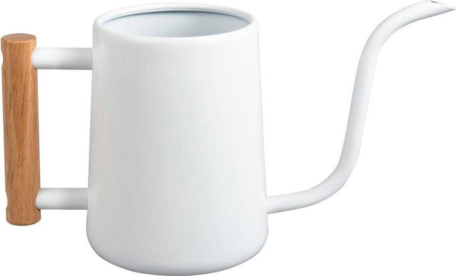 35 oz-1000 ml Roestvrijstalen Indoor Gieter met Lange Uitloop en Houten Handvat voor Kamerplanten Vetplanten Watergever