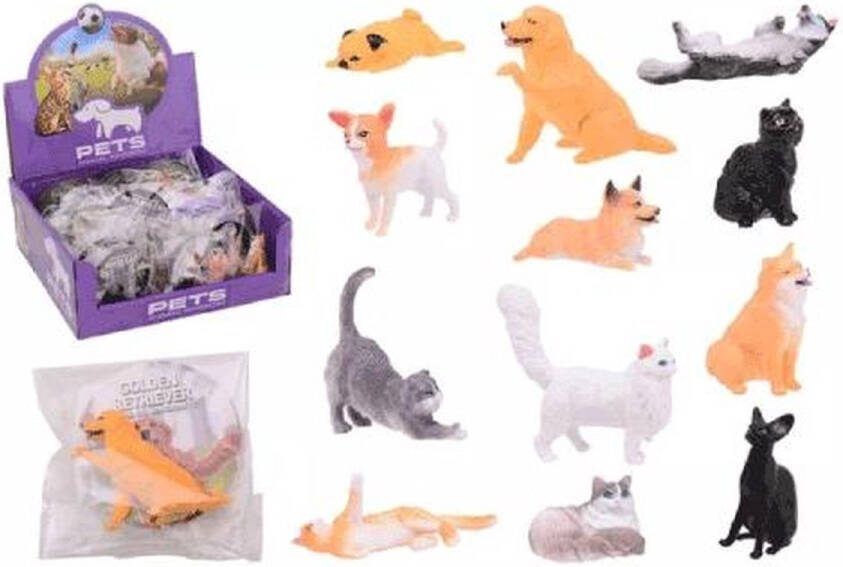 36 animal world huisdieren in display