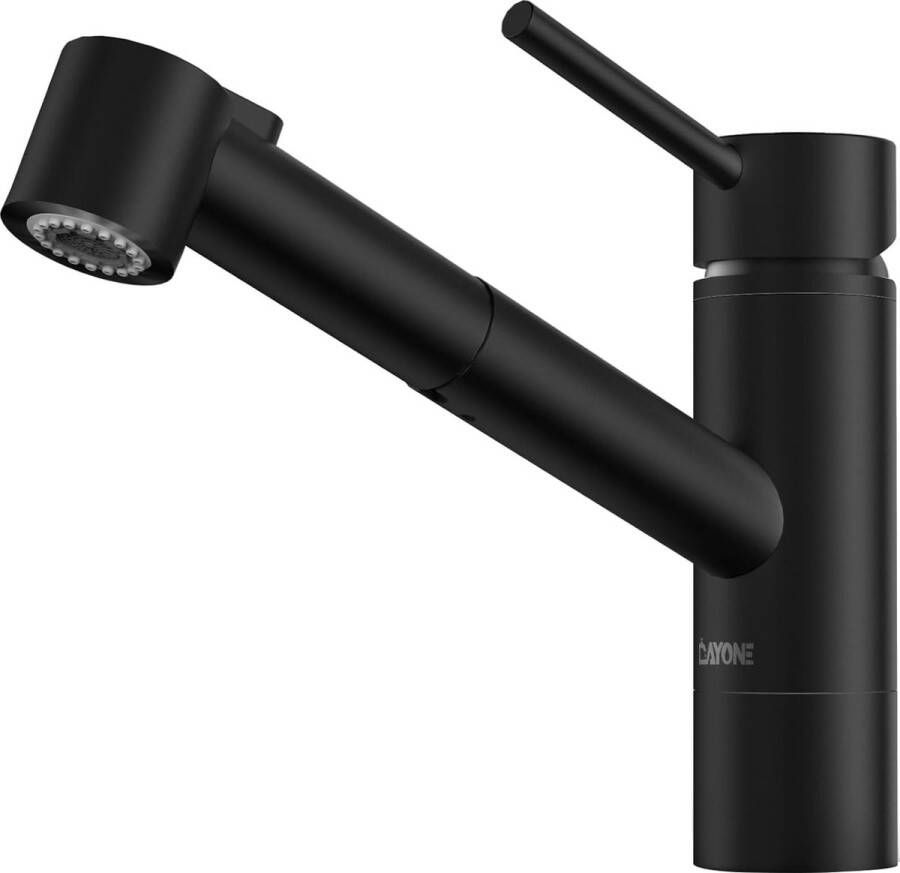 360° draaibare keukenkraan Uitschuifbare keukenkraan met gebogen hoge uitloop 2 straalsoorten Hogedrukmengkraan met magneetkoppeling Zinkmengkraan