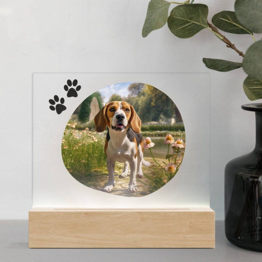 3D Led Lamp Beagle 1