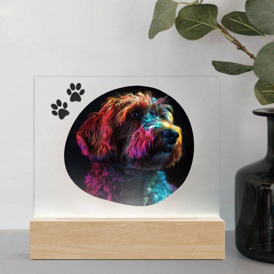 3D Led Lamp Boomer Color 1