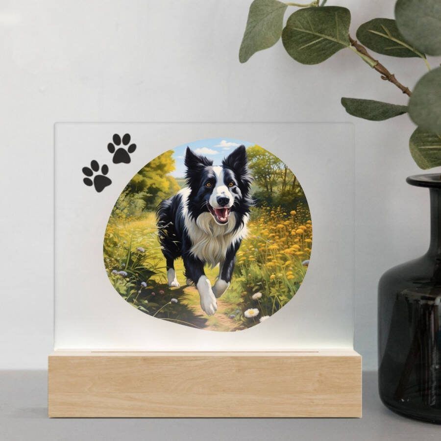 3D Led Lamp Border Collie 1
