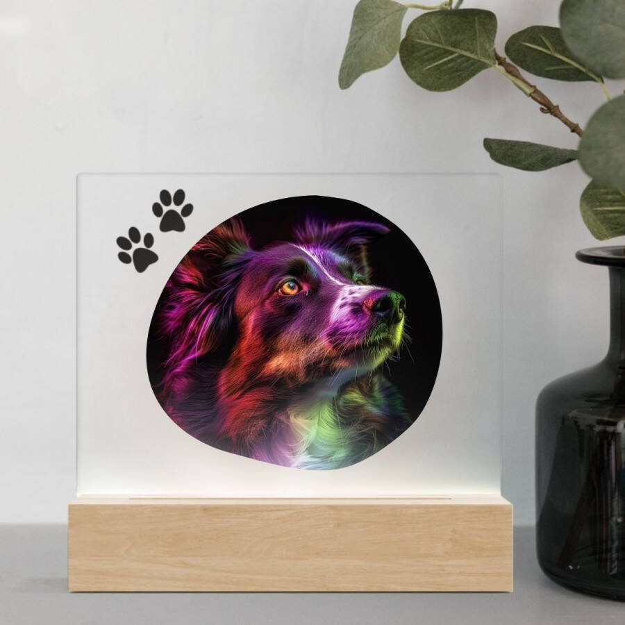 3D Led Lamp Border Collie 1 Color