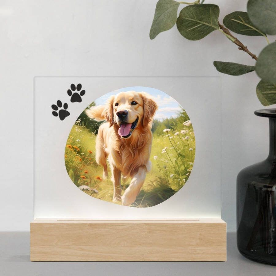 3D Led Lamp Golden Retriever 1