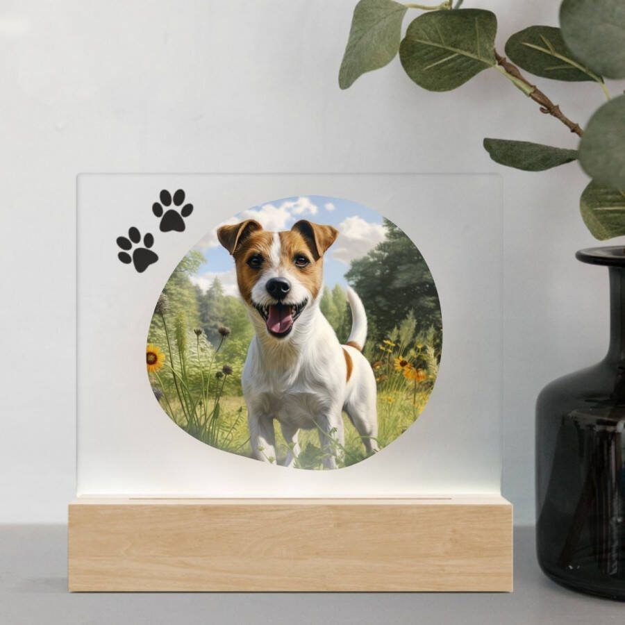 3D Led Lamp Jack Russel 1