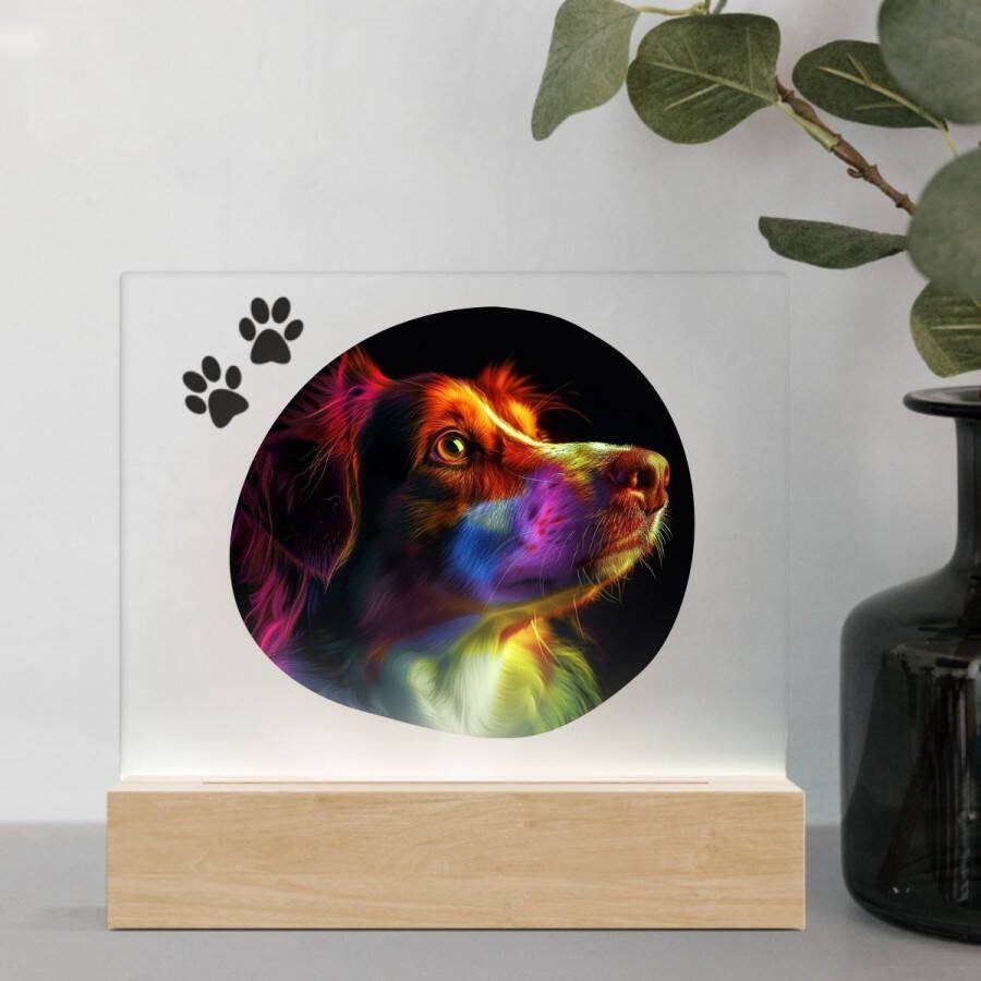 3D Led Lamp Kooiker 1 Color