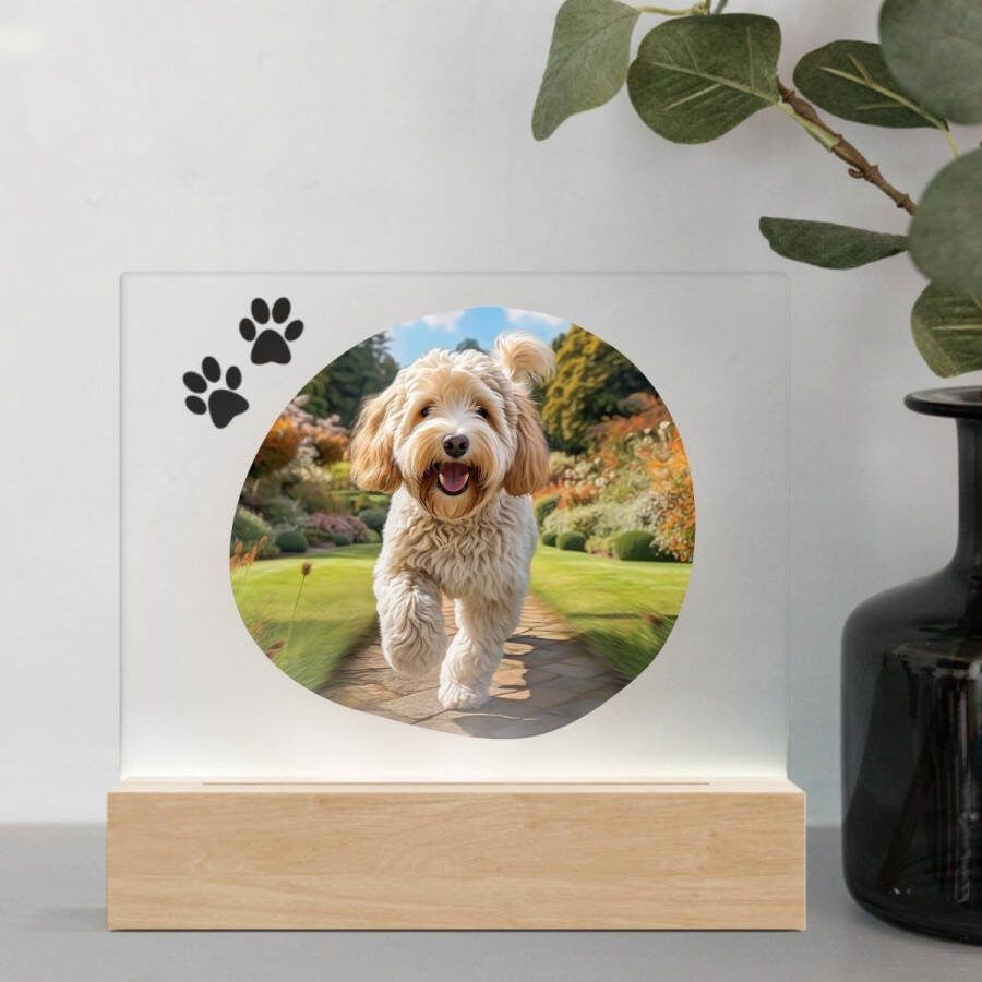 3D Led Lamp Labradoodle 1