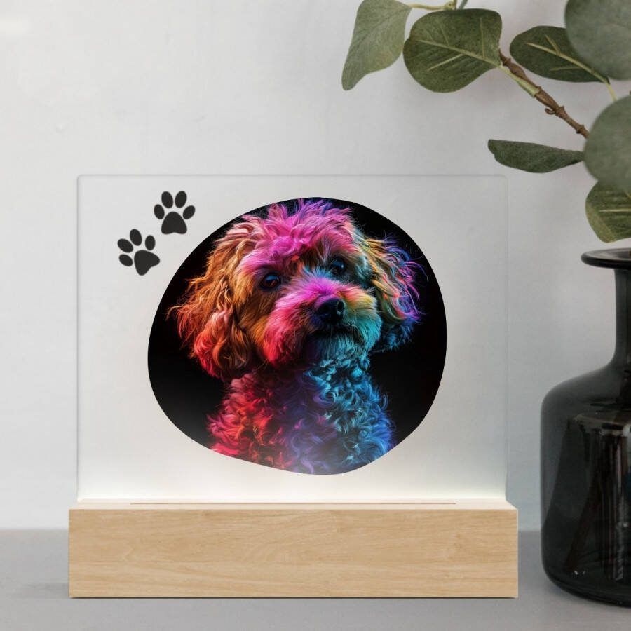 3D Led Lamp Maltipoo 1 Color