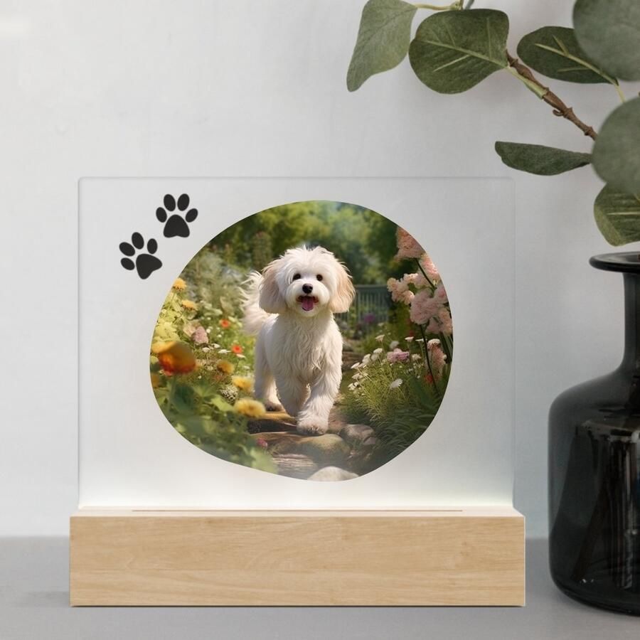 3D Led Lamp Maltipoo 1