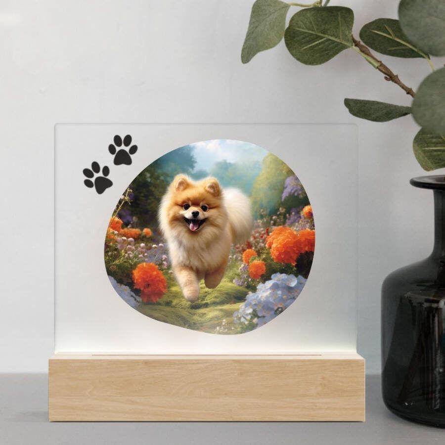 3D Led Lamp Pomeriaan 1