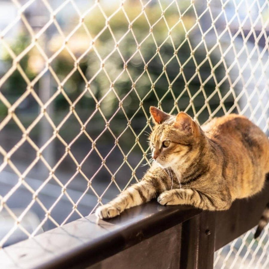 3m x 6m Kattennet Veiligheidsnet 5 cm maaswijdte valbeschermingsnet ladingbevestigingsnet balkon trapleuning Kattennet Balkon