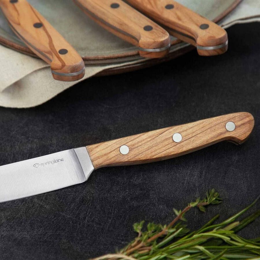 4-delige Steak Knife Set Fijn olijfhout handvatten Duitse staal Gift box Keukenmessen met houten handgrepen
