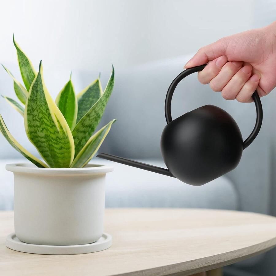 400 ml zwarte gieter kleine kamerplanten mini gieter metalen lange uitloop gieter kleine kamerplanten voor binnen thuis kantoor vetplanten