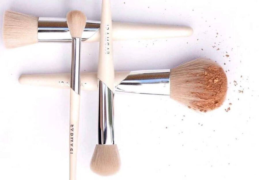 5-delige mini kwastenset inclusief rougekwast poederkwast foundationkwast concealerkwast oogschaduwkwast blending kwast make-up