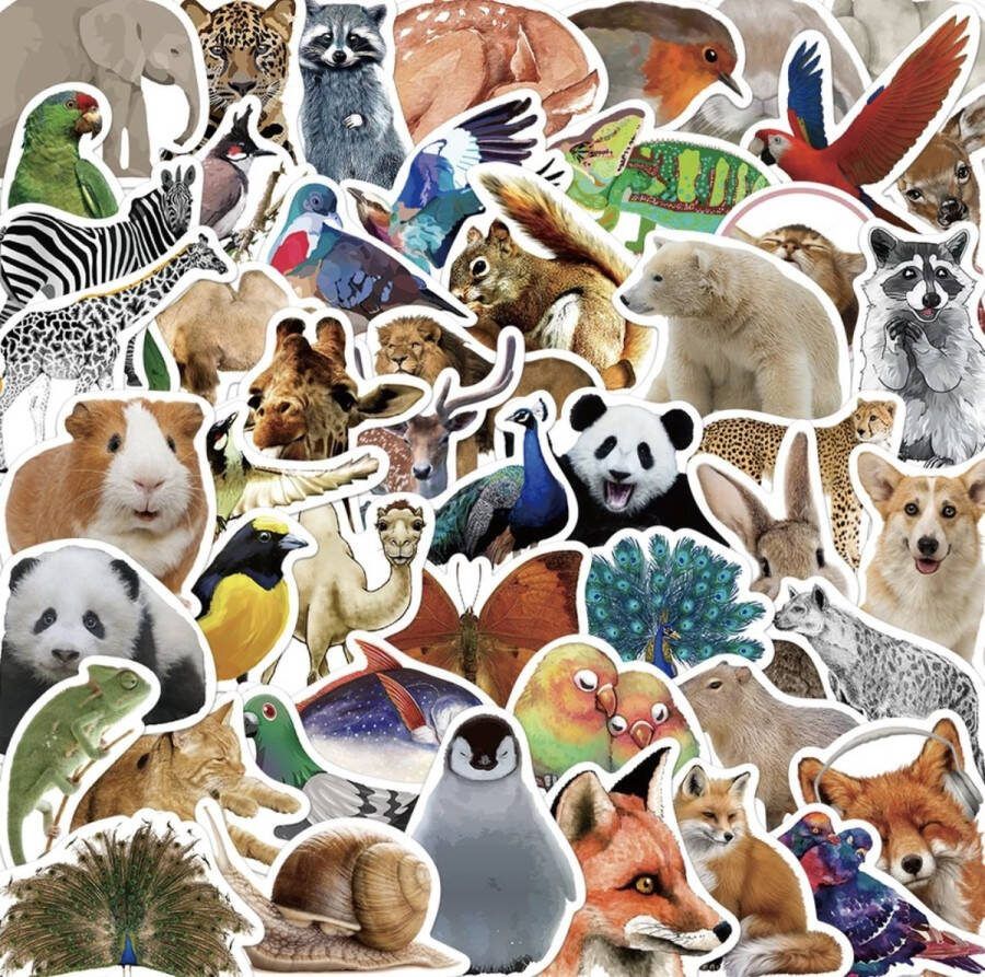 50-pack Leuke Dierentuin Dierenstickers Zoo n Kinderstickers Dierentuin dierenstickers voor op de fiets beker laptop schoolspullen kamer etc School Kinderen Stickerset Animals
