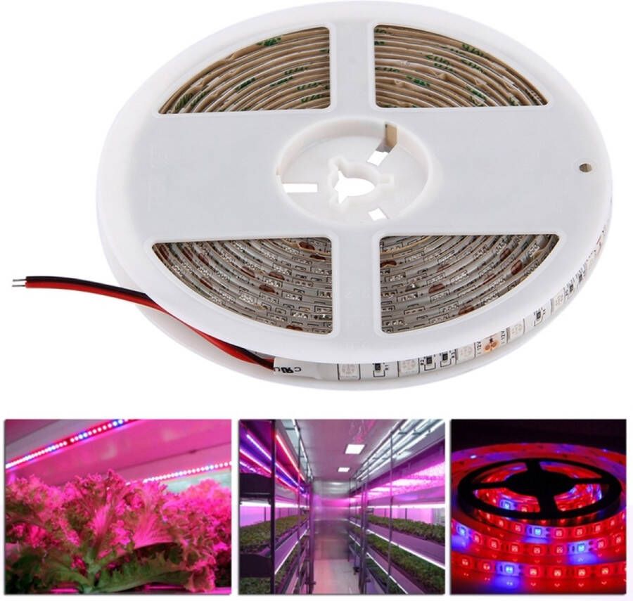 Merkloos Sans marque 5m SMD 5050 5: 1 Rood + Blauw Plant Grows Lamp 300 LEDs Aquarium Kas Hydroponic Waterproof Epoxy Lichtslang 60 LEDs m DC 12V