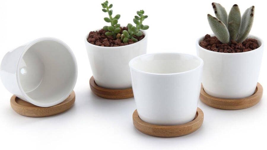 6 5CM Succulente Plantenpot Set van 4 Ronde Keramiek Vetplant Bloempot met Bamboe Onderzetter Binnen Klein Cactus Pot met Afvoergat Wit voor Sappige Aloë Kruid Kamerplant Decoratieve Geschenk