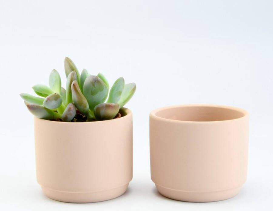 6 kleine BLUSH keramieken bloempotjes D7 H6 cm Ideaal in eigen huis of om te geven als bedankje