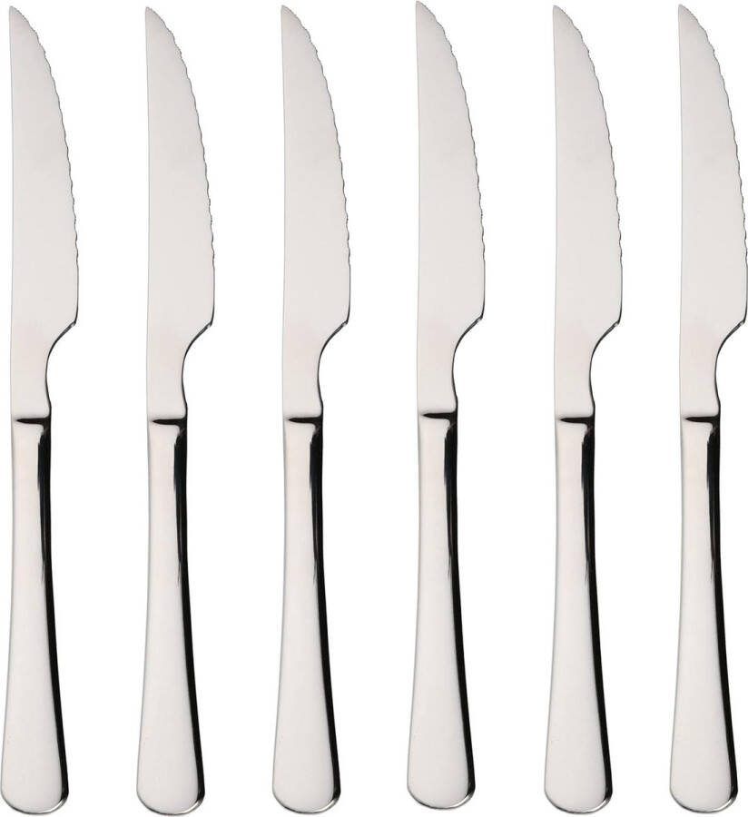 6 steakmessen vleesmes 22 5 x 2 05 cm roestvrij staal 18 0