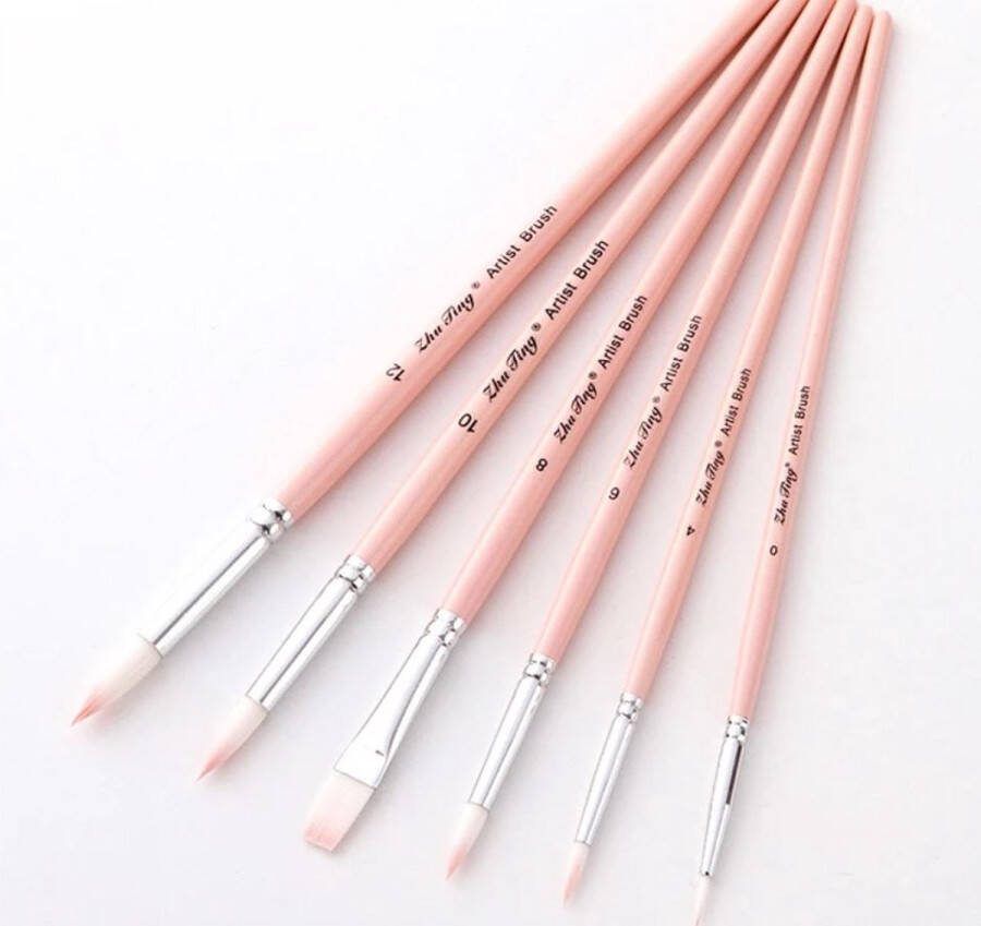 6 stuks nylon penselen zalm