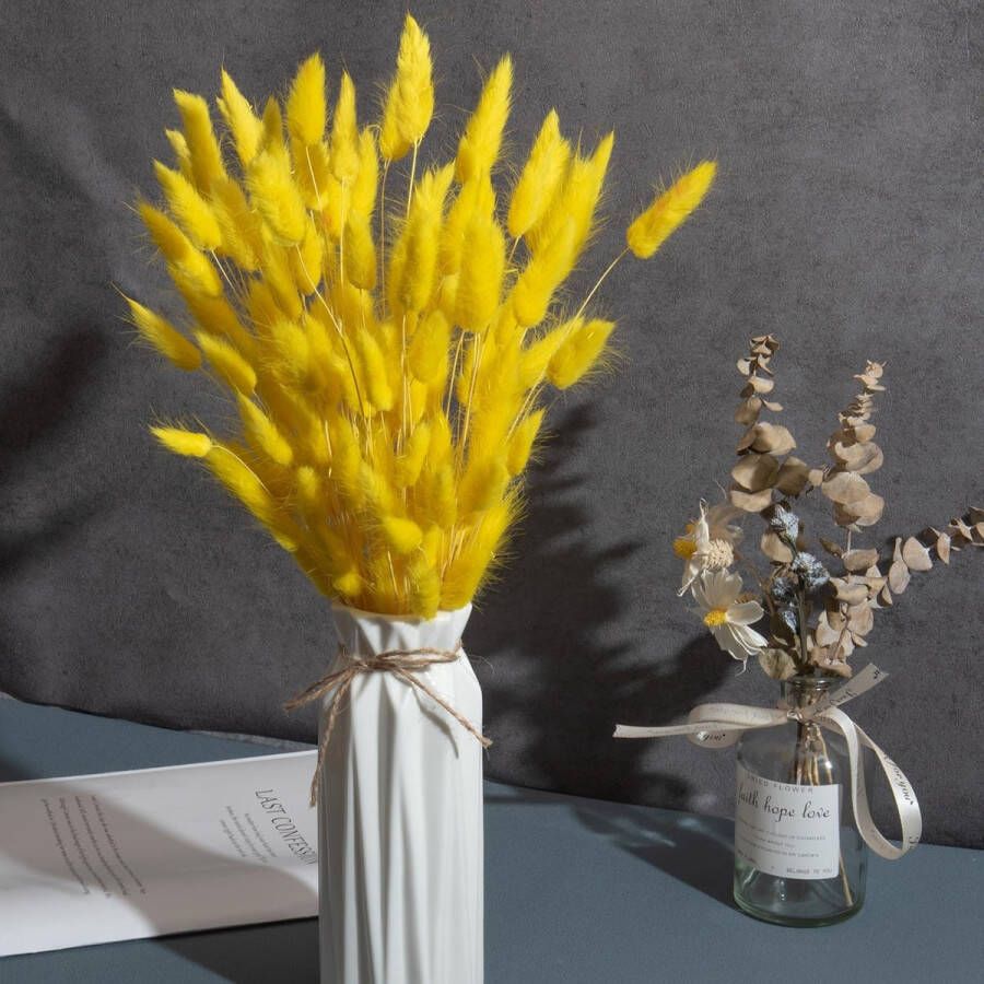 60 x gedroogde pampasgras decoratie droogbloemen boeket natuurlijke bloemendecoratie grassen voor bruiloft interieurdecoratie slaapkamer woonkamer wit